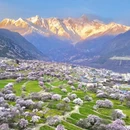 林芝旅游 缩略图 1