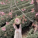 福州旅游 缩略图 6
