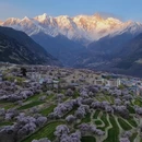 林芝旅游 缩略图 2