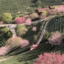 福州旅游 缩略图 4