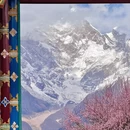 林芝旅游 缩略图 4