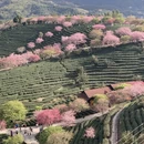 福州旅游 缩略图 5