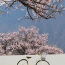 林芝旅游 缩略图 8