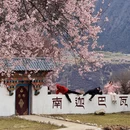 林芝旅游 缩略图 10