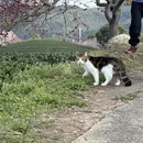 福州旅游 缩略图 10