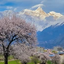 林芝旅游 缩略图 11