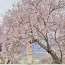 林芝旅游 缩略图 12
