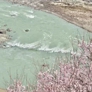 林芝旅游 缩略图 16