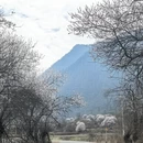 林芝旅游 缩略图 5