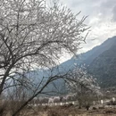 林芝旅游 缩略图 3
