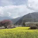 林芝旅游 缩略图 8