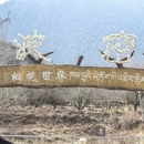 林芝旅游 缩略图 12