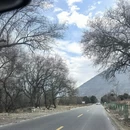 林芝旅游 缩略图 14