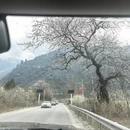 林芝旅游 缩略图 11