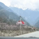 林芝旅游 缩略图 10