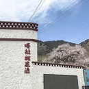 林芝旅游 缩略图 15