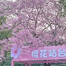 龙岩旅游 缩略图 1