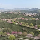 福州旅游 缩略图 1