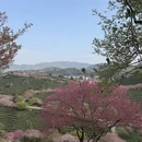 福州旅游 缩略图 2