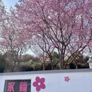 龙岩旅游 缩略图 6
