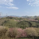 福州旅游 缩略图 3