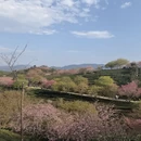 福州旅游 缩略图 4
