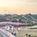 龙岩旅游 缩略图 5