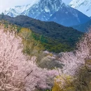 林芝旅游 缩略图 4