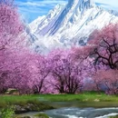 林芝旅游 缩略图 2