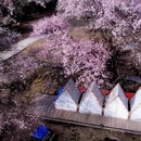 林芝旅游 缩略图 5