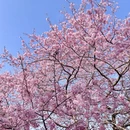 龙岩旅游 缩略图 4