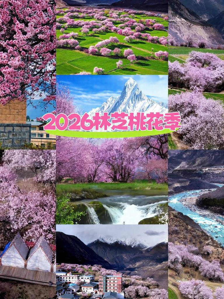 林芝旅游