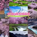 林芝旅游 缩略图 1