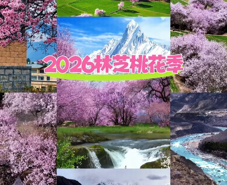 林芝旅游 1