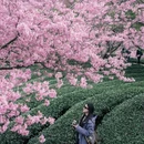 龙岩旅游 缩略图 6