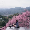 龙岩旅游 缩略图 4