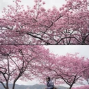 龙岩旅游 缩略图 9