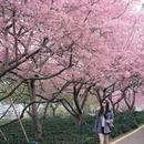 龙岩旅游 缩略图 8