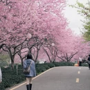龙岩旅游 缩略图 7
