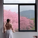 龙岩旅游 缩略图 15