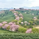 龙岩旅游 缩略图 1