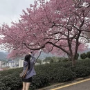 龙岩旅游 缩略图 16
