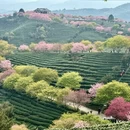 龙岩旅游 缩略图 4