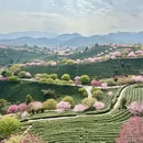 龙岩旅游 缩略图 7