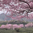 龙岩旅游 缩略图 17