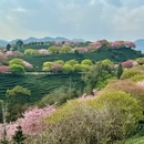 龙岩旅游 缩略图 9