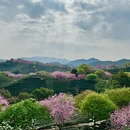 龙岩旅游 缩略图 6