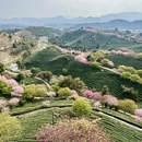龙岩旅游 缩略图 2