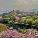 龙岩旅游 缩略图 5