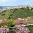 龙岩旅游 缩略图 12